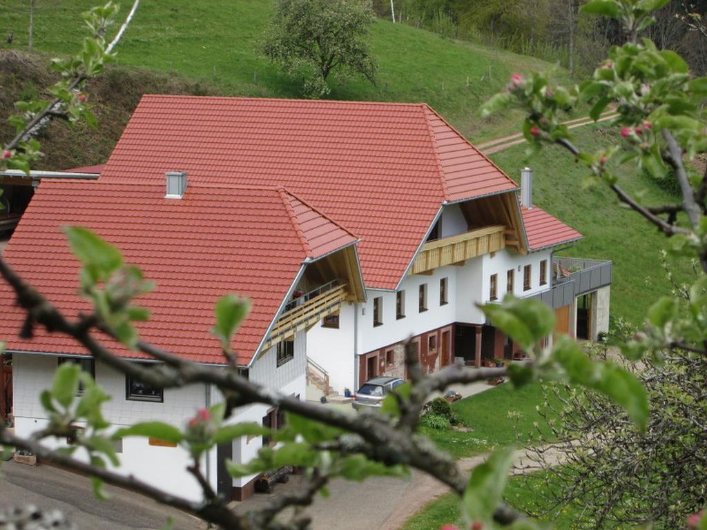 Stinneshof Oberharmersbach Exteriör bild