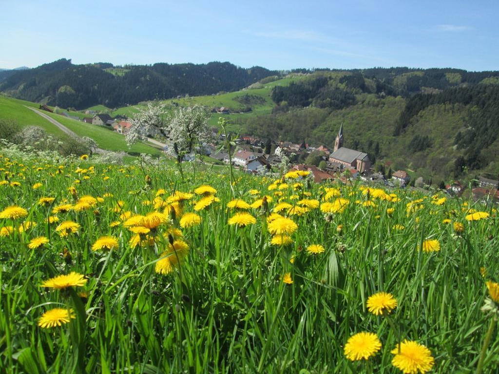 Stinneshof Oberharmersbach Exteriör bild