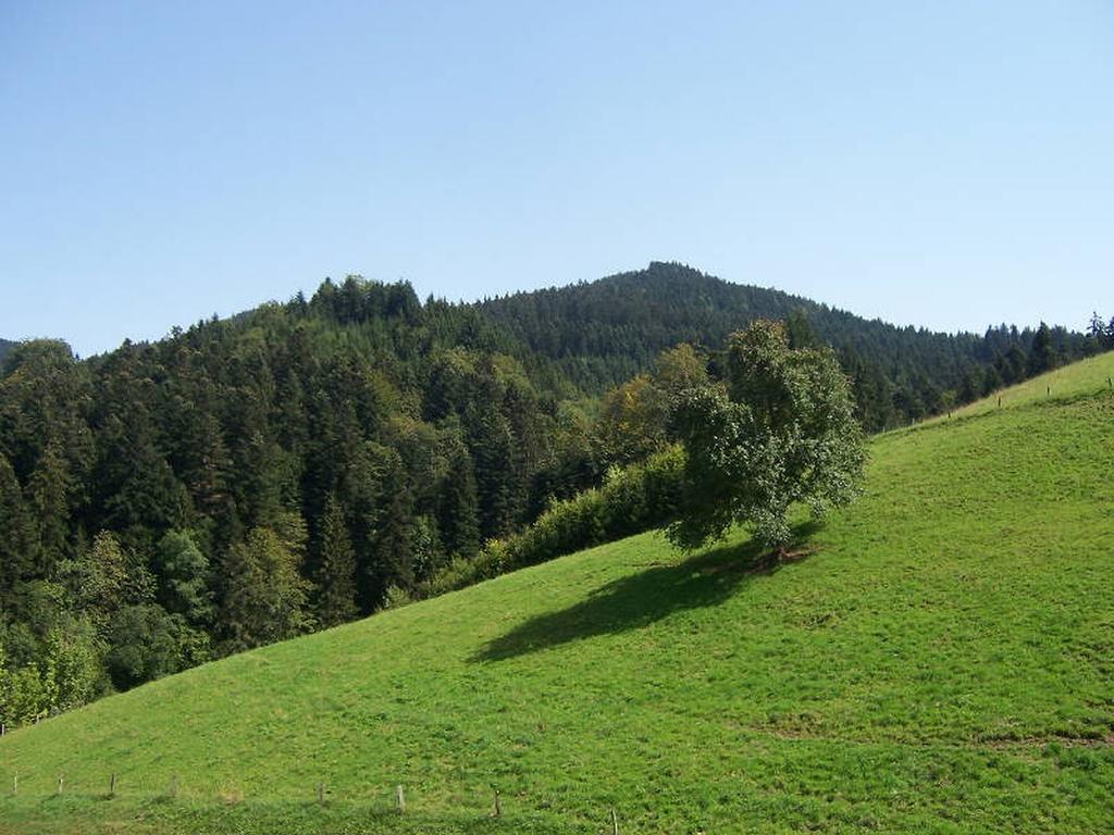 Stinneshof Oberharmersbach Exteriör bild