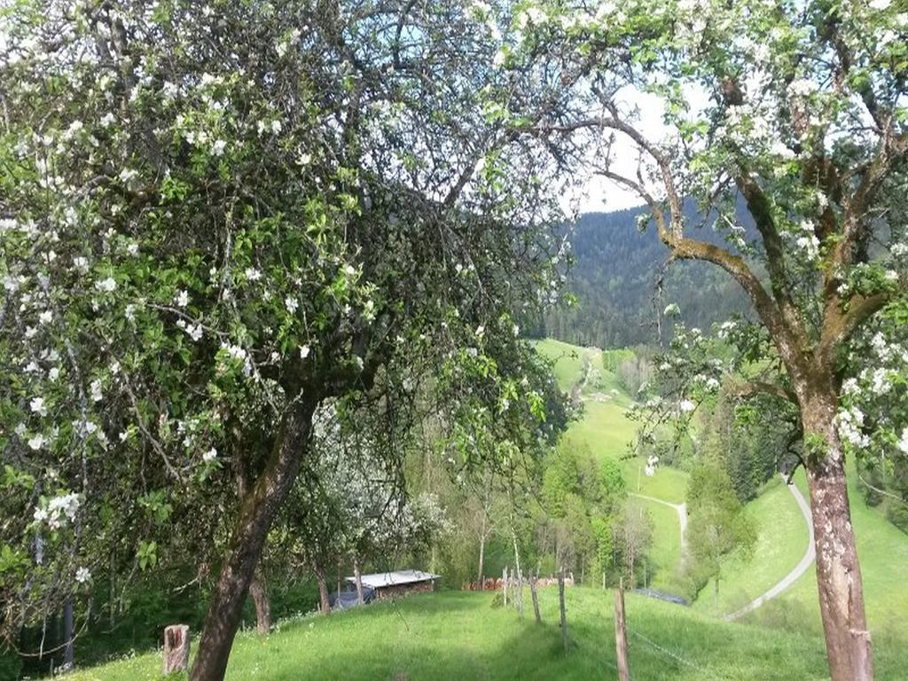 Stinneshof Oberharmersbach Exteriör bild